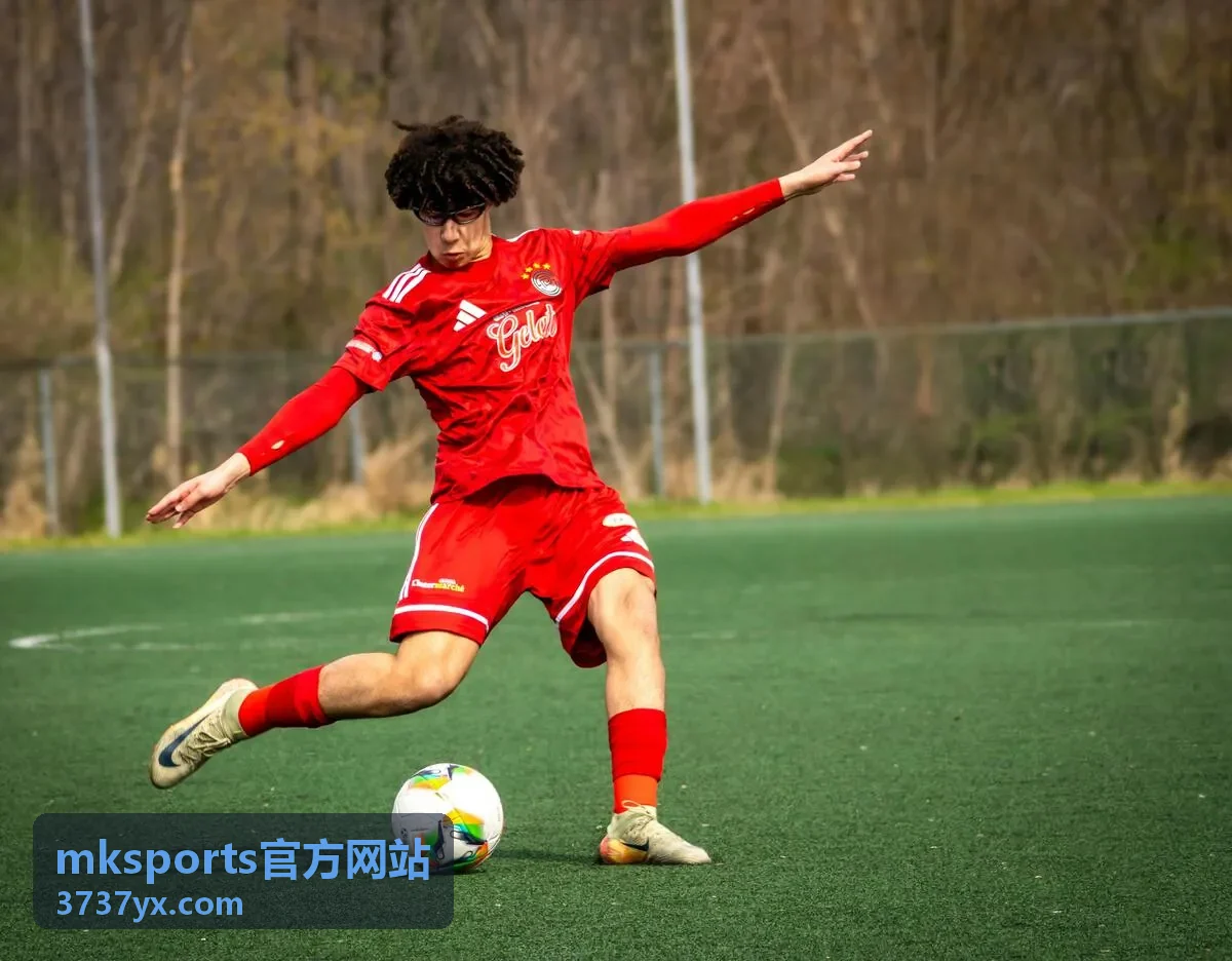 mksports官方网站篮球观赛快捷入口