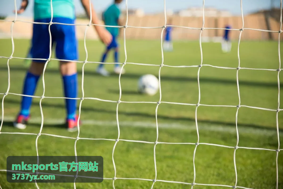 mksports官方网站官方公告信息展示